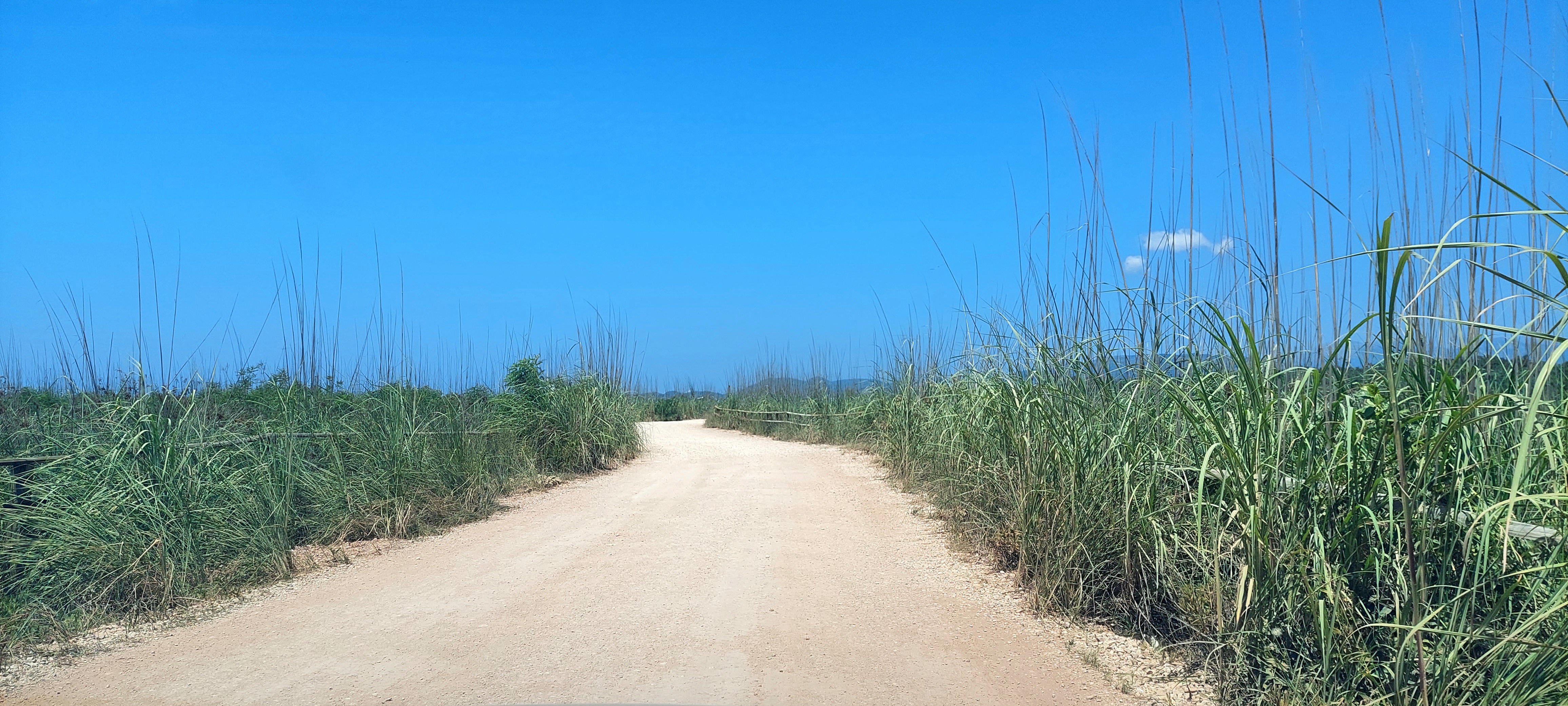 Pathway to Velika Plaza beach, Ulcinj Montenegro